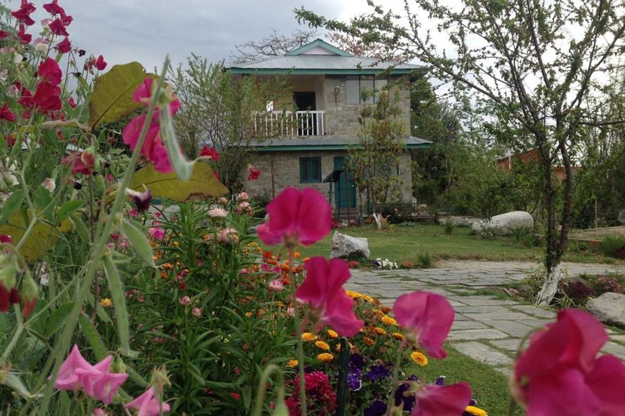 Nagri Resort Pālampur エクステリア 写真