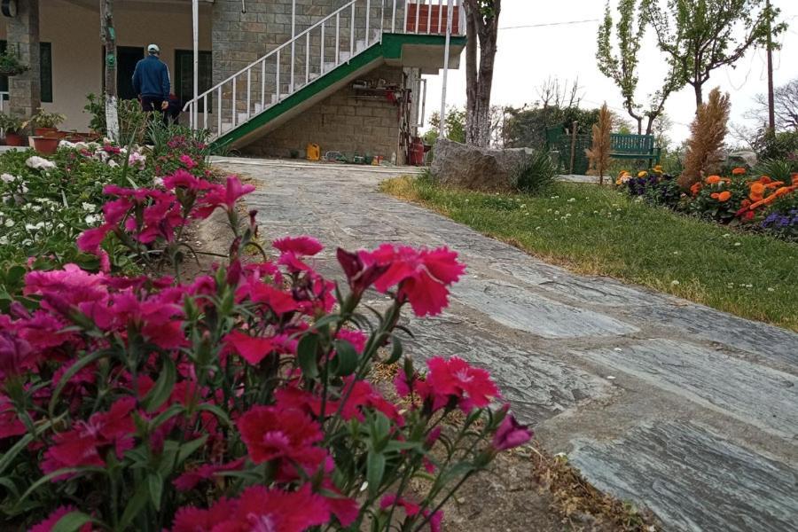 Nagri Resort Pālampur エクステリア 写真