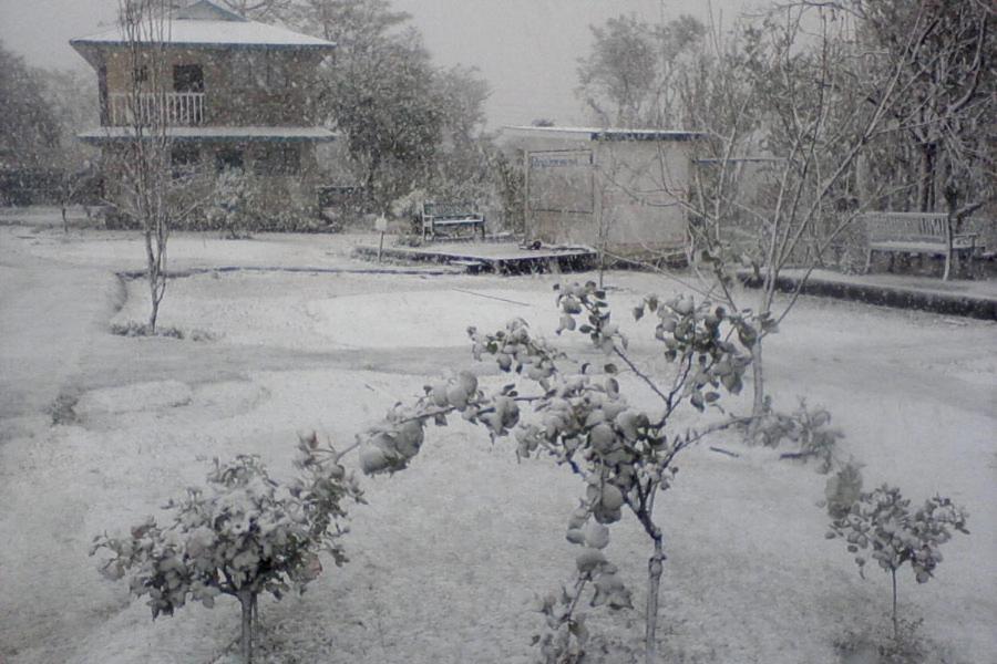 Nagri Resort Pālampur エクステリア 写真