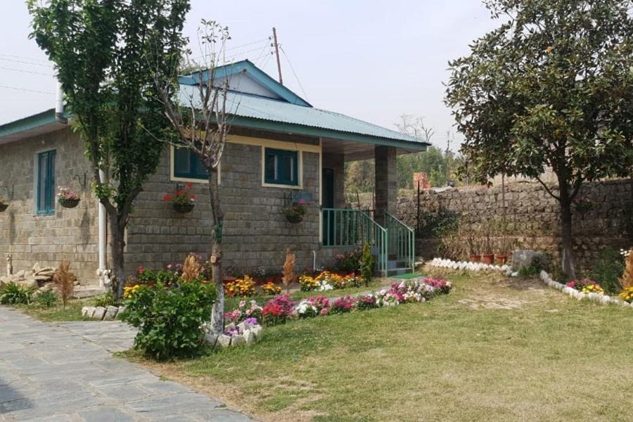 Nagri Resort Pālampur エクステリア 写真