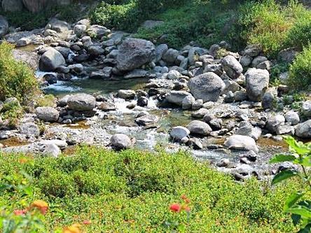 Nagri Resort Pālampur エクステリア 写真